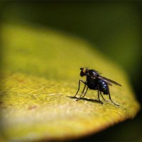 /album/zuchevip0011/photolia-a07-jpg/